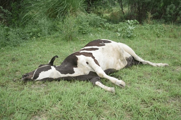 Wireframe Grid Overlay Prompt — Nano Banana Pro AI Generated Image