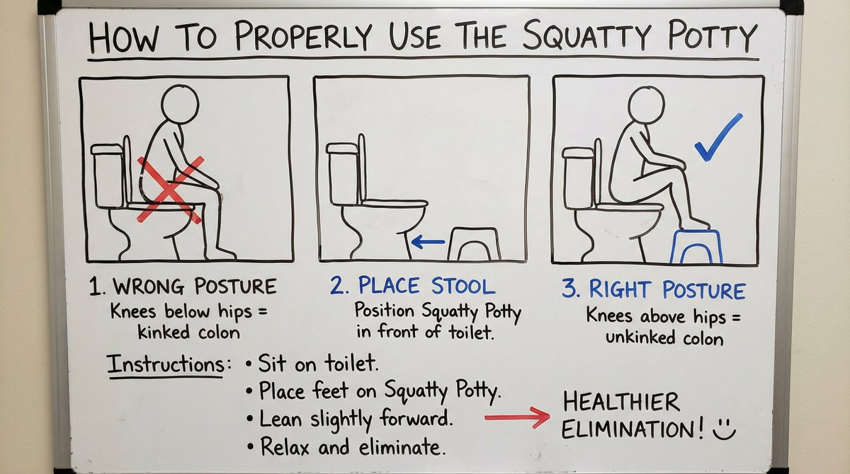 Squatty Potty whiteboard instructions — Nano Banana Pro AI Generated Image