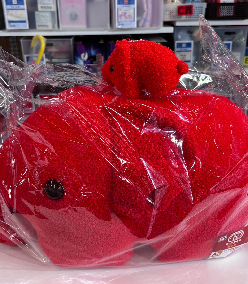 Image Generation of Umeboshi — Nano Banana Pro AI Generated Image