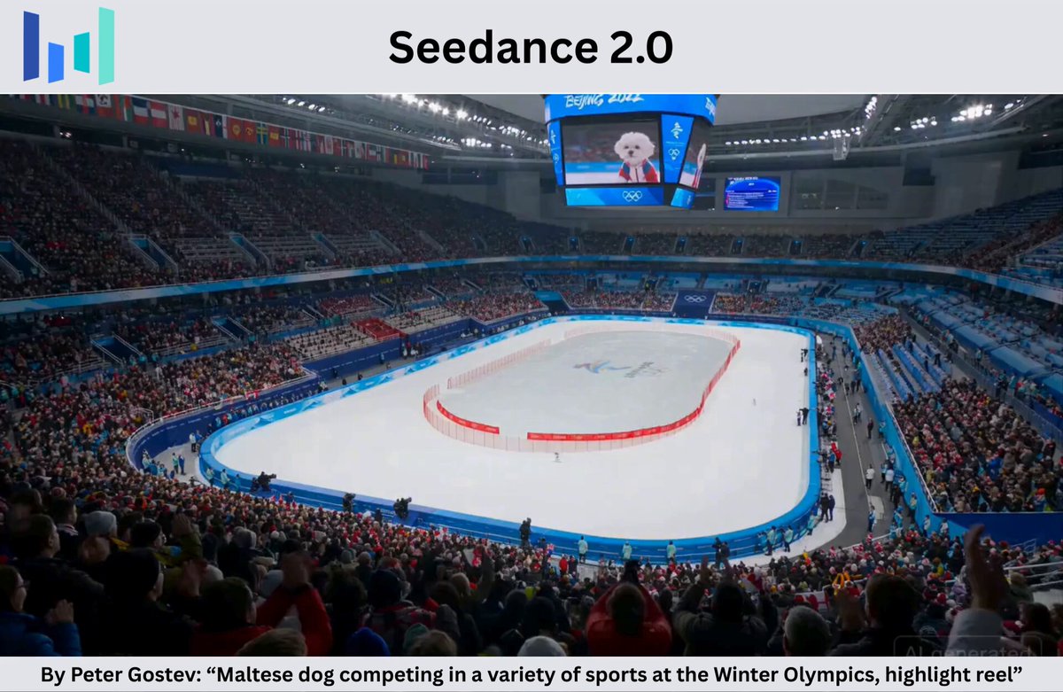 Maltese Dog Winter Olympics Highlight Reel