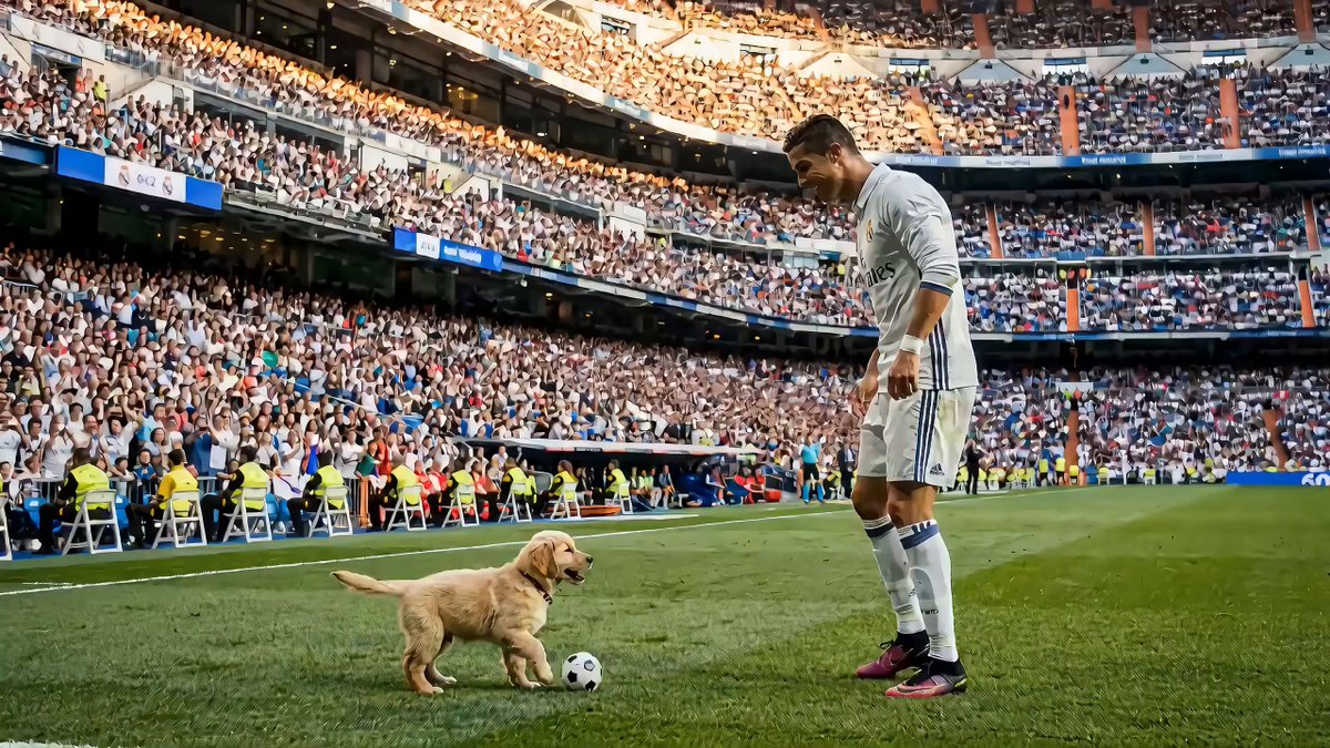 Dog vs. Prime Ronaldo in Champions League Final