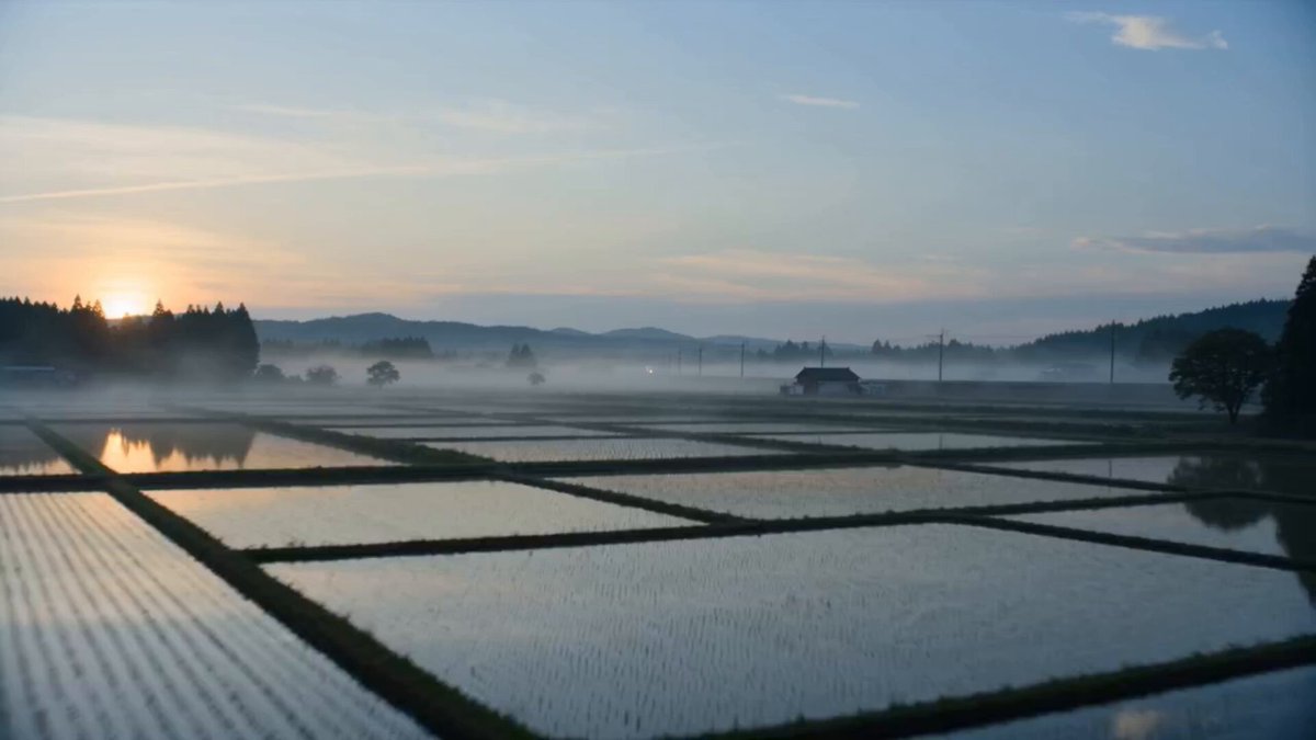 Cinematic Scene Prompt: Bullet Train Race