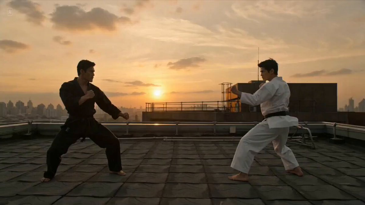 Rooftop Martial Arts Fight at Sunset