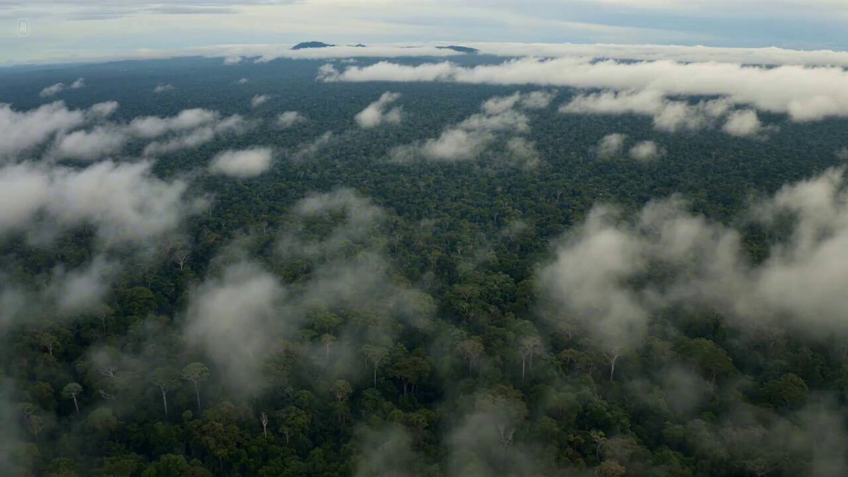 Action adventure/sci-fi scene with a soldier