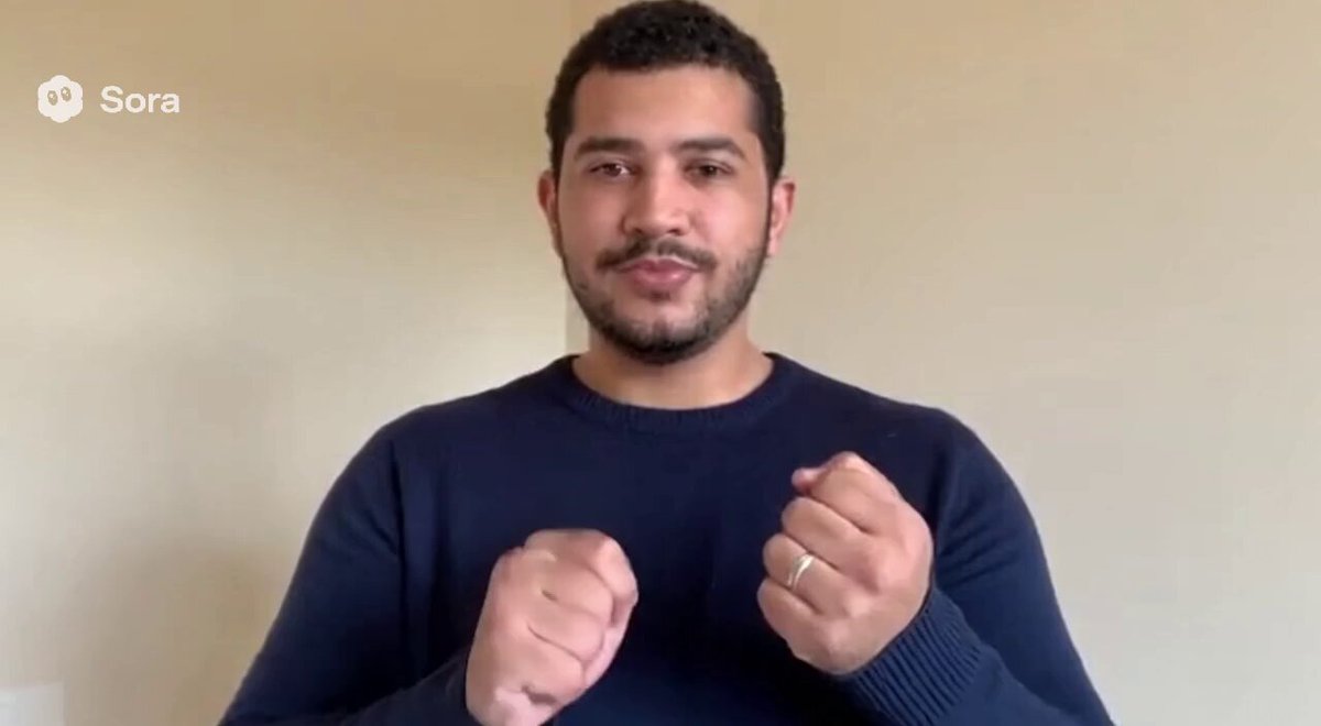 Sora Test Failure Example