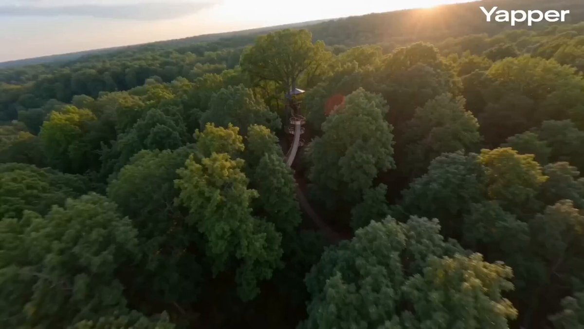 FPV cinematic flight through a treehouse