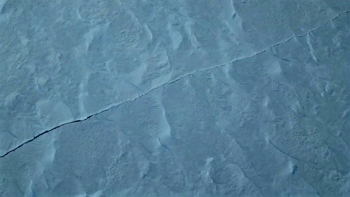 Antarctic Leviathan Awakening